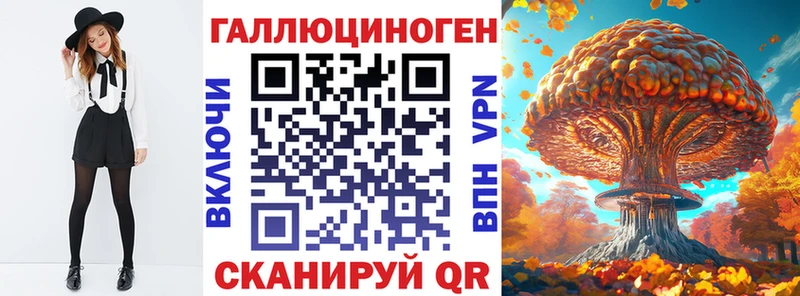 Псилоцибиновые грибы Cubensis  нарко площадка как зайти  Новомичуринск  купить  